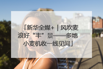 新华全媒+｜风吹麦浪好“丰”景——多地小麦机收一线见闻