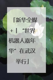 新华全媒+丨“世界机器人嘉年华”在武汉举行