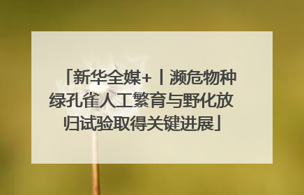 新华全媒+丨濒危物种绿孔雀人工繁育与野化放归试验取得关键进展