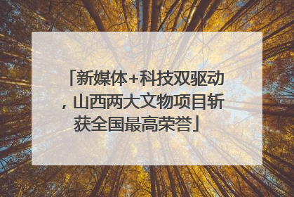 新媒体+科技双驱动，山西两大文物项目斩获全国最高荣誉