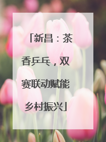 新昌：茶香乒乓，双赛联动赋能乡村振兴