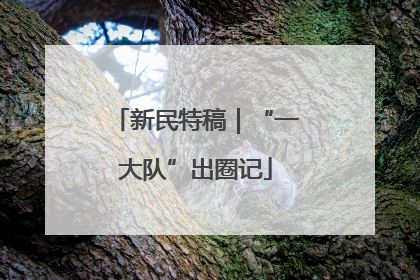 新民特稿｜“一大队”出圈记