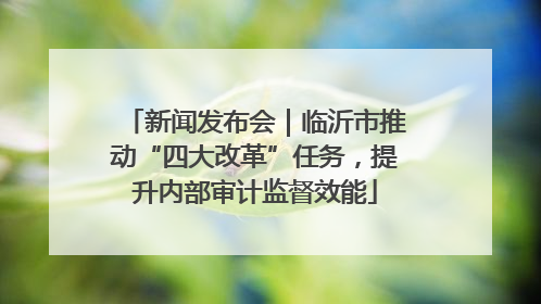 新闻发布会｜临沂市推动“四大改革”任务，提升内部审计监督效能