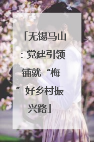 无锡马山：党建引领 铺就“梅”好乡村振兴路