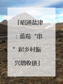 昭通盐津：蓝莓“串”起乡村振兴增收链