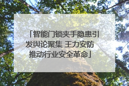 智能门锁夹手隐患引发舆论聚集 王力安防推动行业安全革命