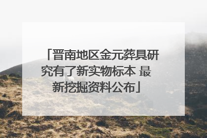 晋南地区金元葬具研究有了新实物标本 最新挖掘资料公布