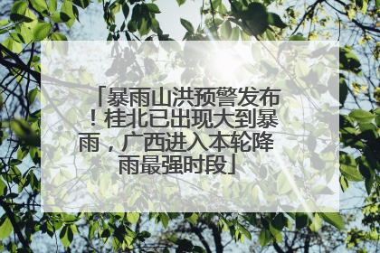 暴雨山洪预警发布！桂北已出现大到暴雨，广西进入本轮降雨最强时段