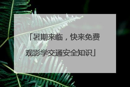 暑期来临，快来免费观影学交通安全知识