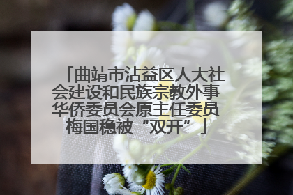 曲靖市沾益区人大社会建设和民族宗教外事华侨委员会原主任委员梅国稳被“双开”