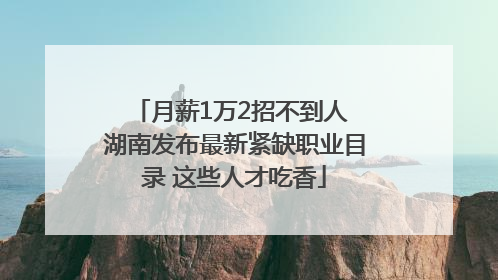 月薪1万2招不到人 湖南发布最新紧缺职业目录 这些人才吃香