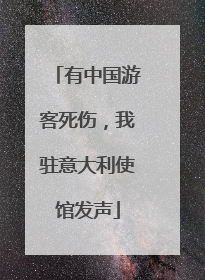 有中国游客死伤，我驻意大利使馆发声