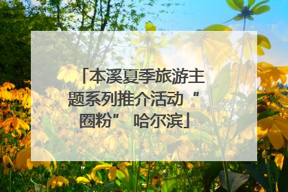 本溪夏季旅游主题系列推介活动“圈粉” 哈尔滨