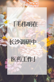 毛伟明在长沙调研中医药工作