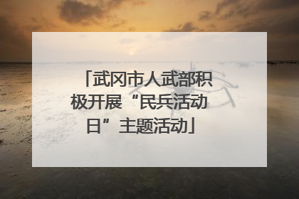 武冈市人武部积极开展“民兵活动日”主题活动