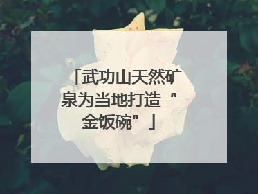 武功山天然矿泉为当地打造“金饭碗”