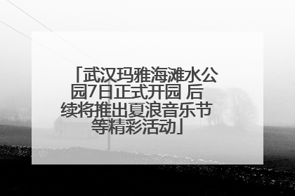 武汉玛雅海滩水公园7日正式开园 后续将推出夏浪音乐节等精彩活动