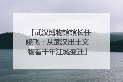 武汉博物馆馆长任晓飞：从武汉出土文物看千年江城变迁