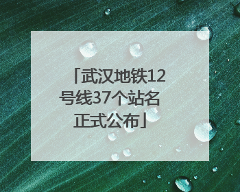 武汉地铁12号线37个站名正式公布