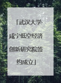 武汉大学·咸宁低空经济创新研究院签约成立