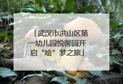 武汉市洪山区第一幼儿园悦馨园开启“绘”梦之旅