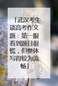 武汉考生谈高考作文题：第一眼看到题目很慌，但整体写得较为流畅