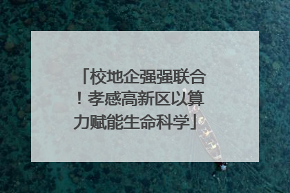 校地企强强联合！孝感高新区以算力赋能生命科学