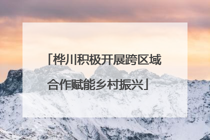 桦川积极开展跨区域合作赋能乡村振兴