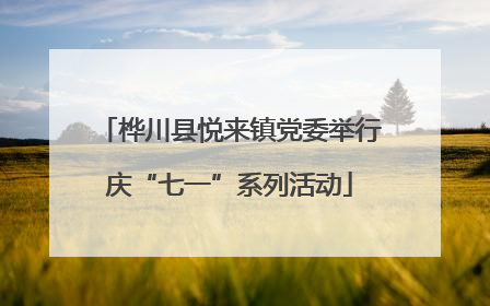 桦川县悦来镇党委举行庆“七一”系列活动