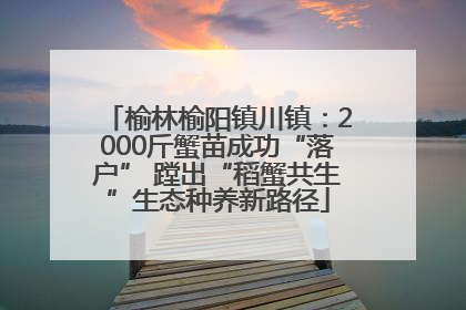 榆林榆阳镇川镇：2000斤蟹苗成功“落户” 蹚出“稻蟹共生”生态种养新路径