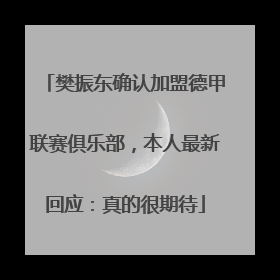 樊振东确认加盟德甲联赛俱乐部，本人最新回应：真的很期待