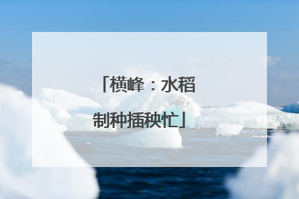 横峰：水稻制种插秧忙
