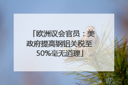 欧洲议会官员：美政府提高钢铝关税至50%毫无道理