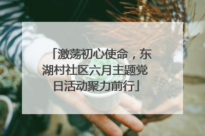 激荡初心使命，东湖村社区六月主题党日活动聚力前行