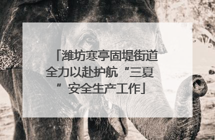 潍坊寒亭固堤街道全力以赴护航“三夏”安全生产工作