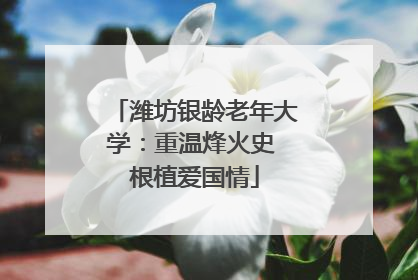 潍坊银龄老年大学：重温烽火史 根植爱国情