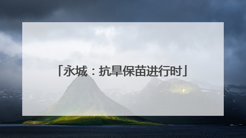 永城：抗旱保苗进行时