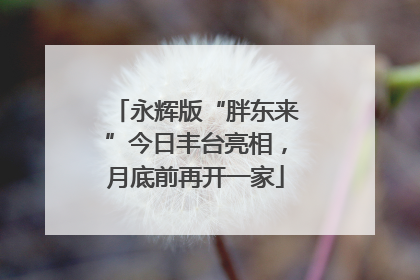 永辉版“胖东来”今日丰台亮相，月底前再开一家