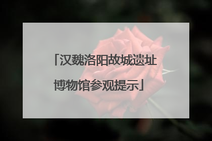 汉魏洛阳故城遗址博物馆参观提示