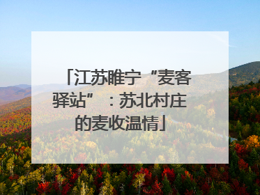 江苏睢宁“麦客驿站”：苏北村庄的麦收温情