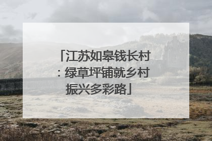 江苏如皋钱长村：绿草坪铺就乡村振兴多彩路