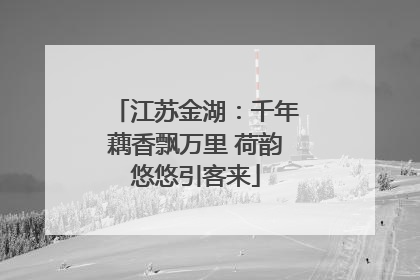 江苏金湖：千年藕香飘万里 荷韵悠悠引客来