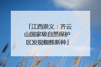 江西崇义：齐云山国家级自然保护区发现蜘蛛新种