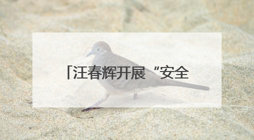 汪春辉开展“安全防范警示日”活动