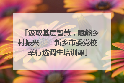 汲取基层智慧，赋能乡村振兴——新乡市委党校举行选调生培训课