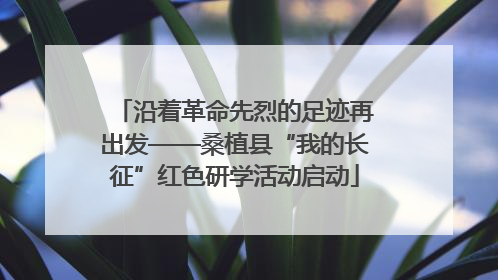 沿着革命先烈的足迹再出发——桑植县“我的长征”红色研学活动启动