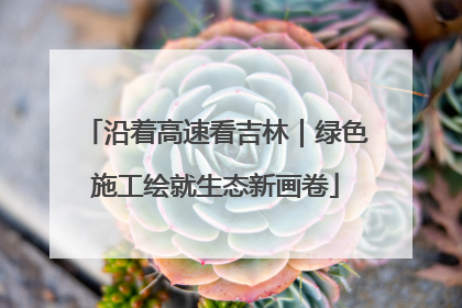 沿着高速看吉林｜绿色施工绘就生态新画卷