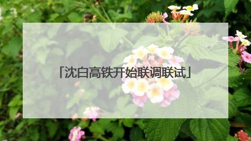 沈白高铁开始联调联试