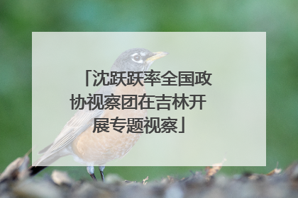 沈跃跃率全国政协视察团在吉林开展专题视察