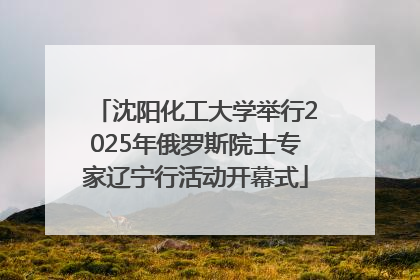 沈阳化工大学举行2025年俄罗斯院士专家辽宁行活动开幕式